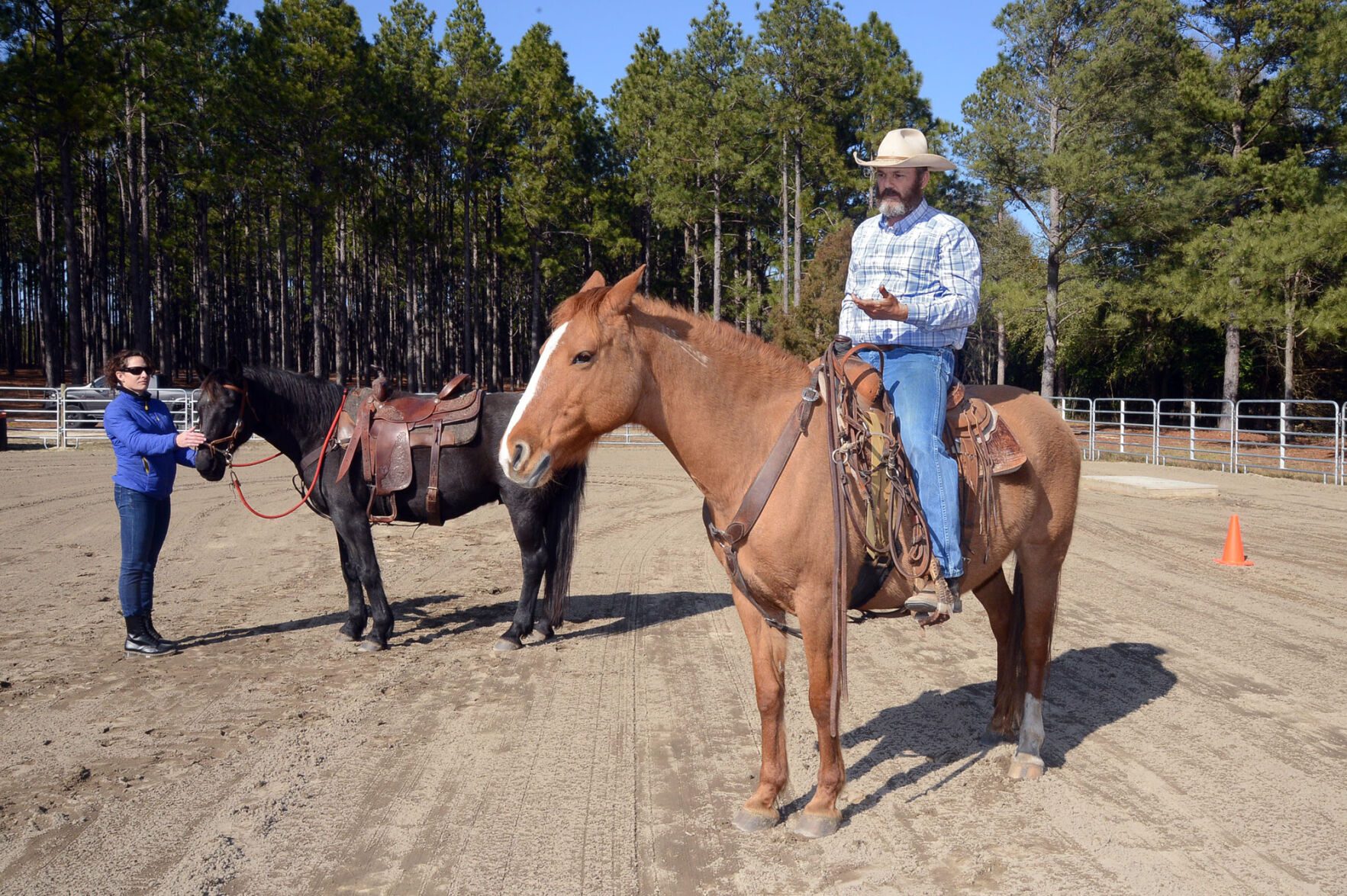 Justin Dunn Bitless Bridle 03.jpg